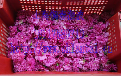 Ϻ|̩΢ƻəC(j)r(nng)C(j)O(sh) r(nng)I(y)ӹC(j)е r(nng)a(chn)ƷӹO(sh)