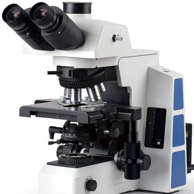 caikon/̿ @΢Rmck-50mc
