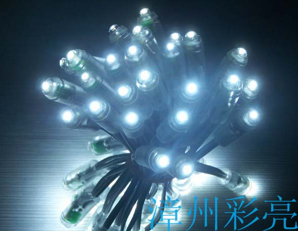 led¶ˮledˮledzˮ