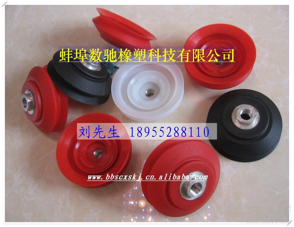(sh)Y100CеиCƬ_100P
