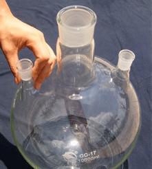 2000ml /24x3(bio)(ֱб)ڟƿ