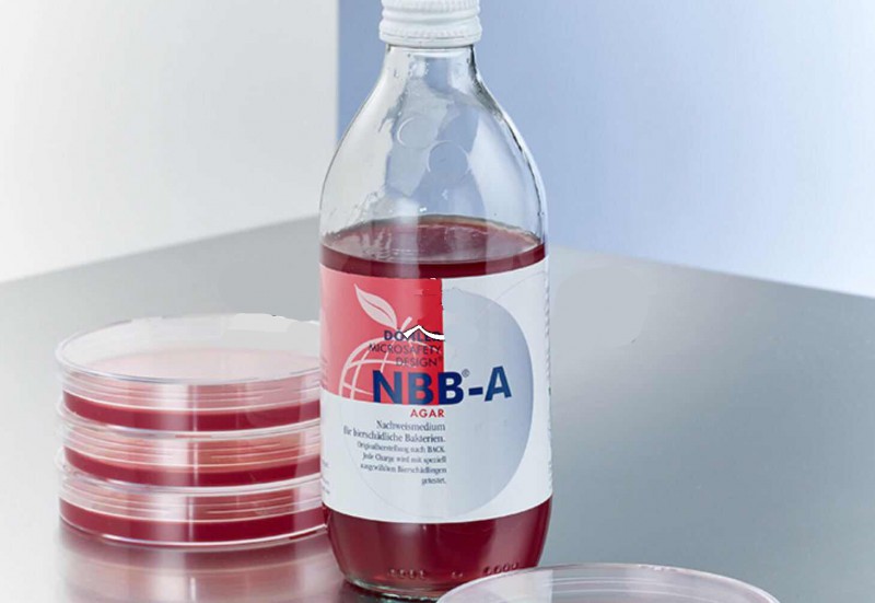 NBB-AB(yng)