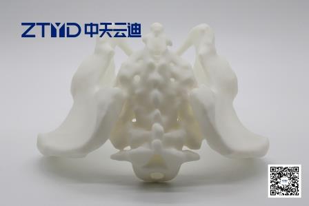 hƵϿƼ޹˾3Dӡ