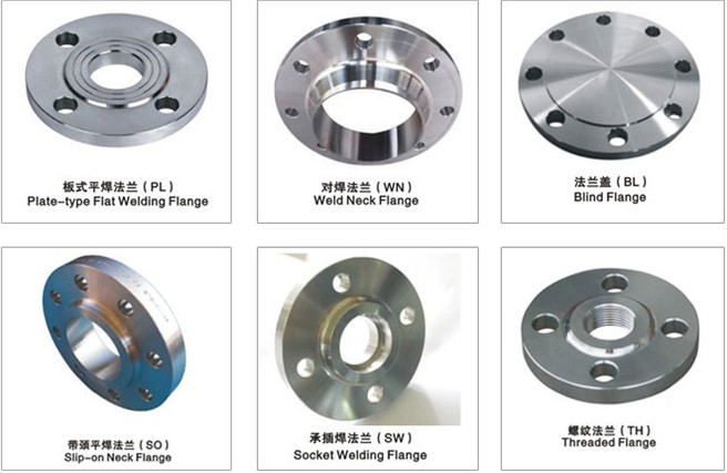 ASME B16.5(bio)m