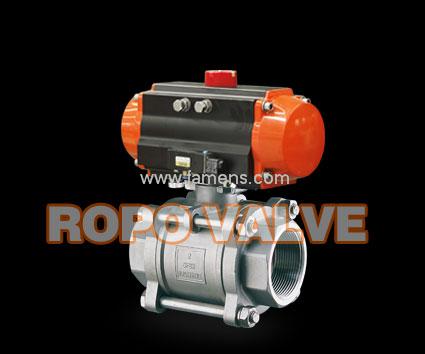 RP-300 (dng)Ƭʽy