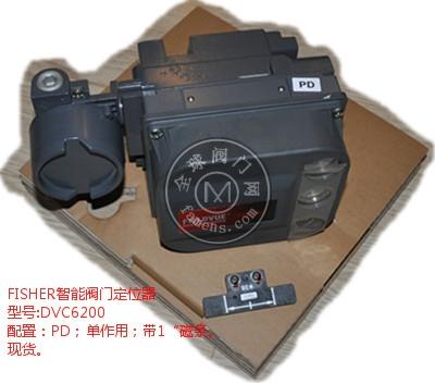 F(xin)؛FISHERyT(mn)λDVC6200 PD