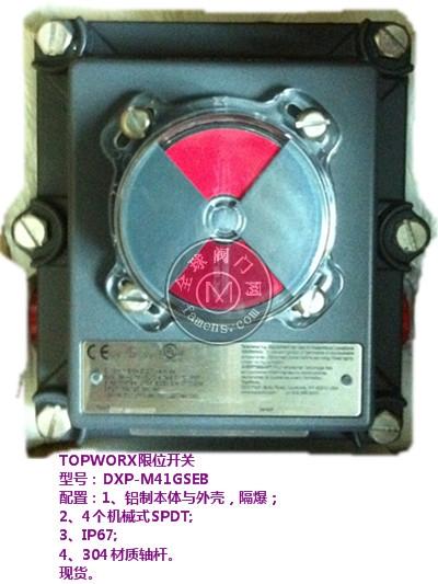 TOPWORXλ_(ki)P(gun)DXP-M41GSEB