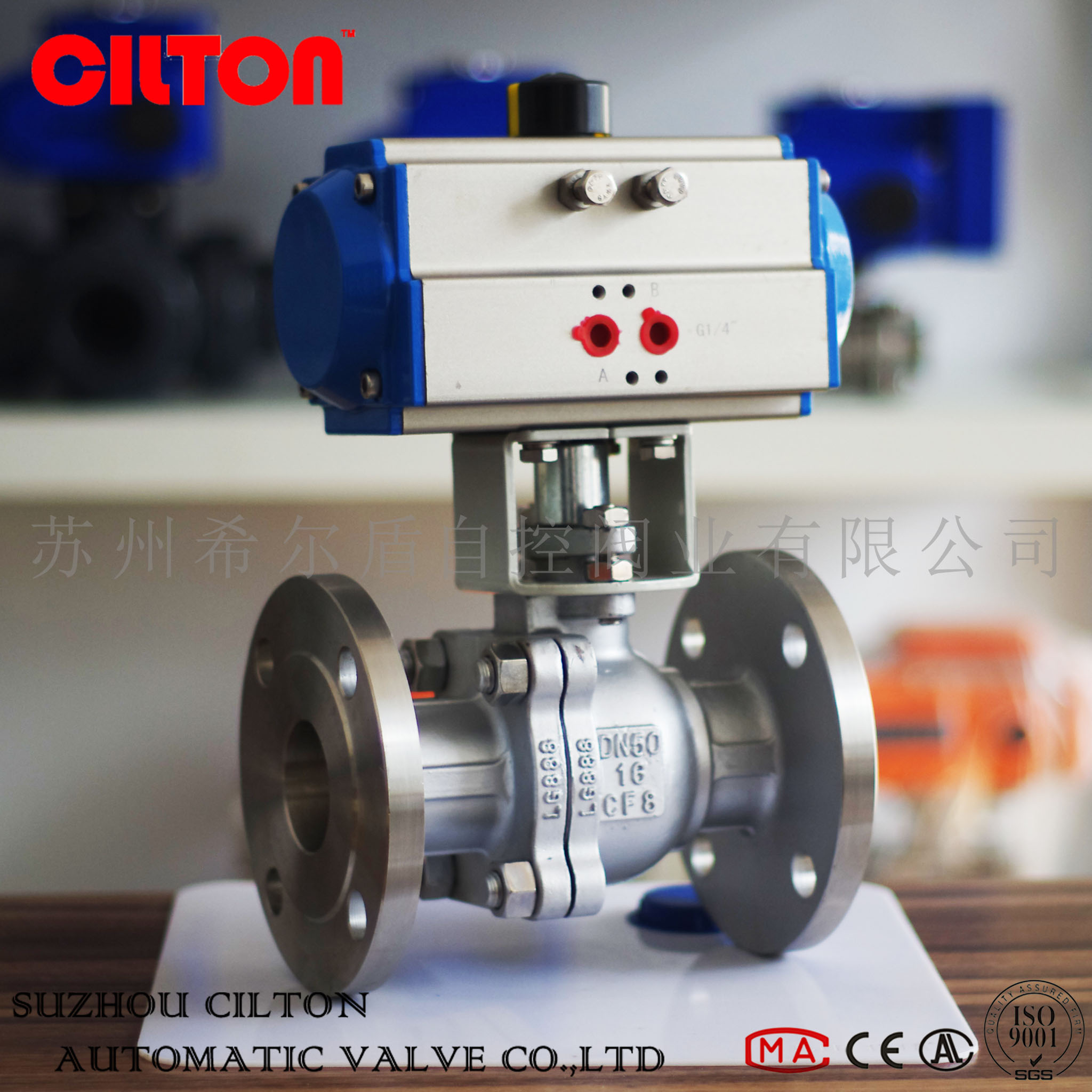 ϣCILTON(dng)my