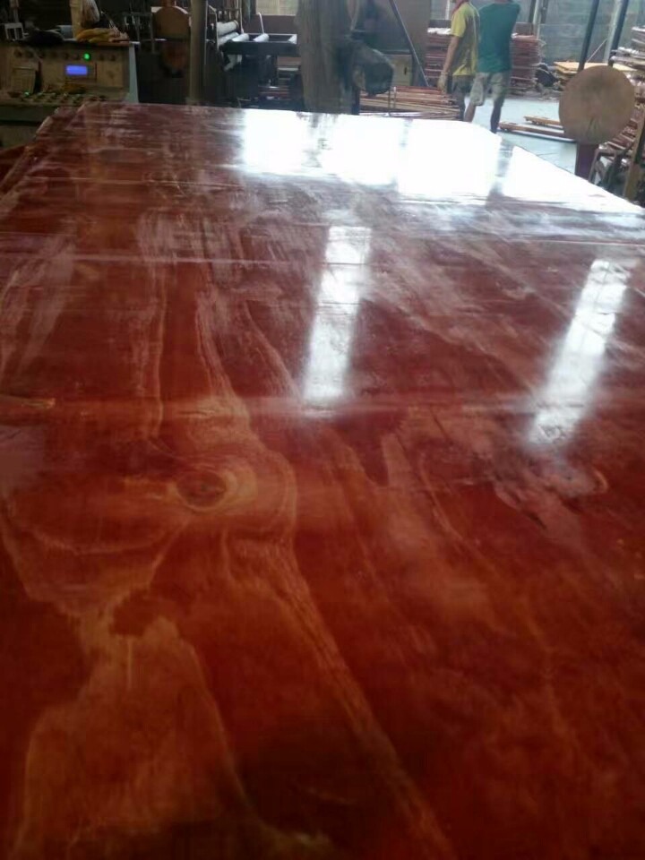 ľľģʡX