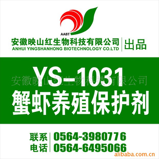 ӳɽt˾YS-1031зrB(yng)ֳo(h)