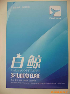ȩģ弈