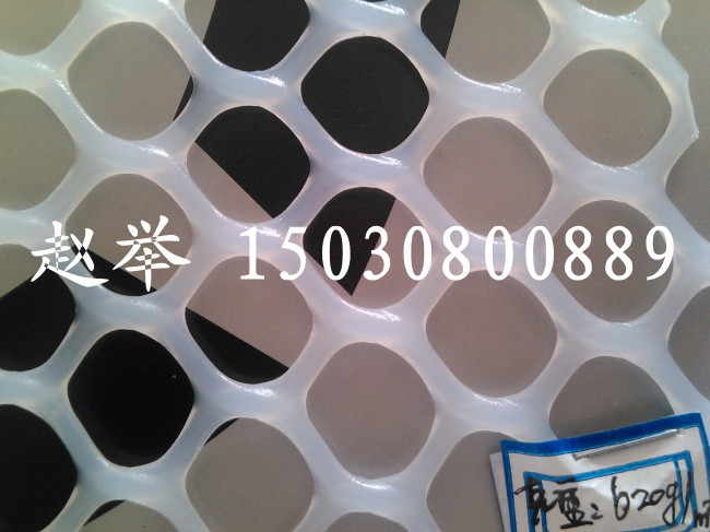 ϾW(wng)  ƽW(wng)  B(yng)W(wng)  B(yng)uW(wng) B(yng)ֳW(wng) zW(wng)