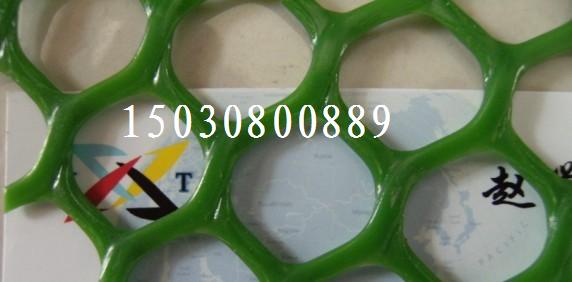 (yng)B(yng)W(wng) B(yng)uW(wng) B(yng)W(wng)l(f) ƽW(wng)l(f) zW(wng)