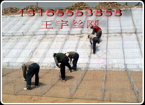 \ܸeW(wng)|\XϽeW(wng)|䓽zߠʯ\W(wng)|\Zo(h)|
