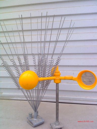 z݆壬ȫ, (q)B߉(yn)