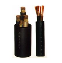 늺C(j)|GB5013.6-1997