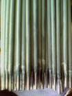 AA112P䓺lr/P䓺l̖/P䓺lS/P䓺l|(zh);