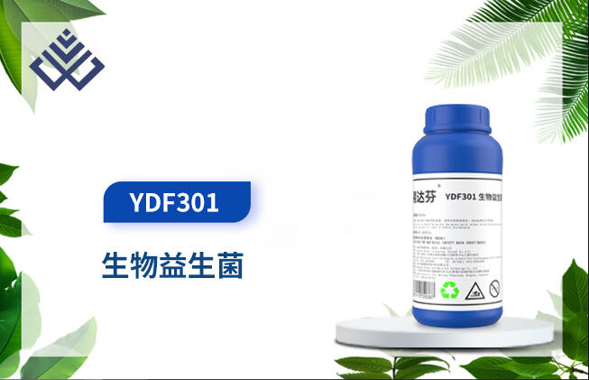 _(d)YDF301