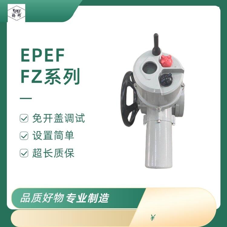 (yng)P(yng)EPEF(lin)W(wng)늄^FFZ60