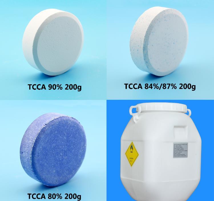 ȮᣨTCCA\(chng)] gӭ(li)
