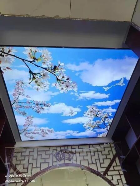 ̫ԭܛĤ컨--Vƶ
