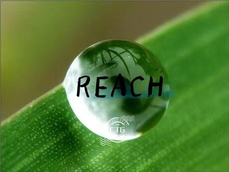 REACH233(xing)W(xu)J(rn)CREACHW(xu)J(rn)CM(fi)