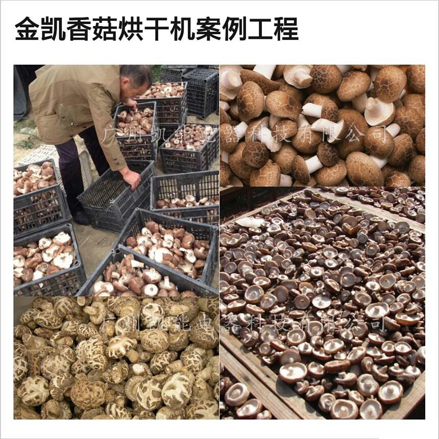 㹽əC(j)Ч