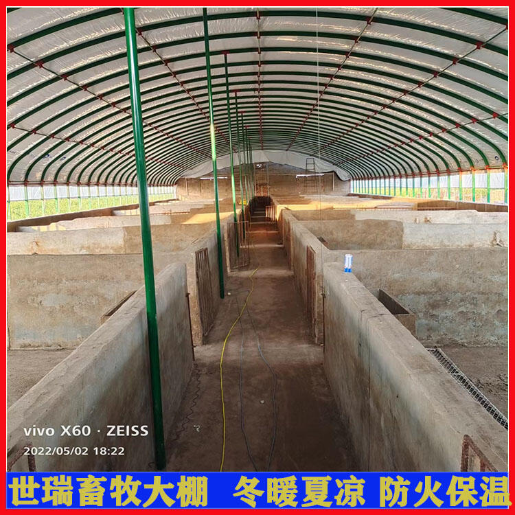 養(yǎng)豬大棚建設(shè)規(guī)劃 豬舍大棚搭建 黑豬養(yǎng)殖棚安裝