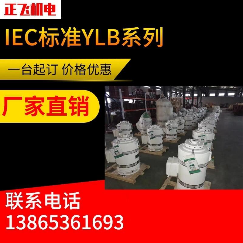 YLB늙C(j)ylb200-2-4 37KW L(zhng)S늙C(j) SֱN