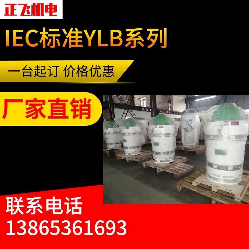 YLB늙C(j)ylb200-1-4 30KW L(zhng)S늙C(j) SֱN