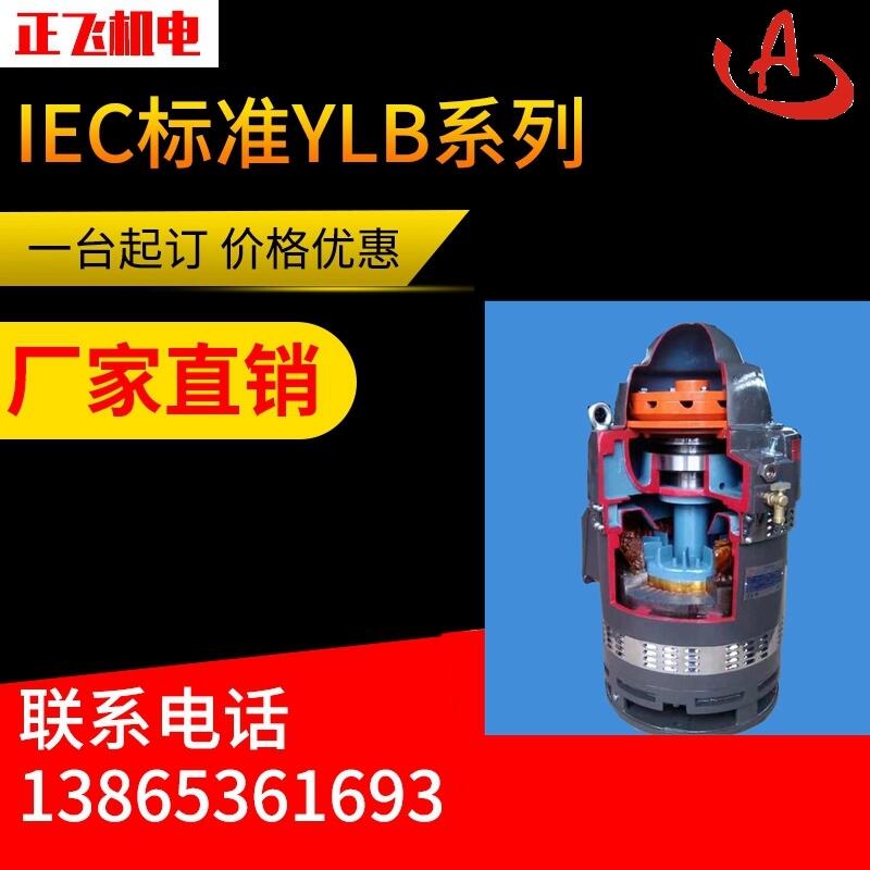 YLB늙C(j)ylb180-2-4 22KW L(zhng)S늙C(j) SֱN