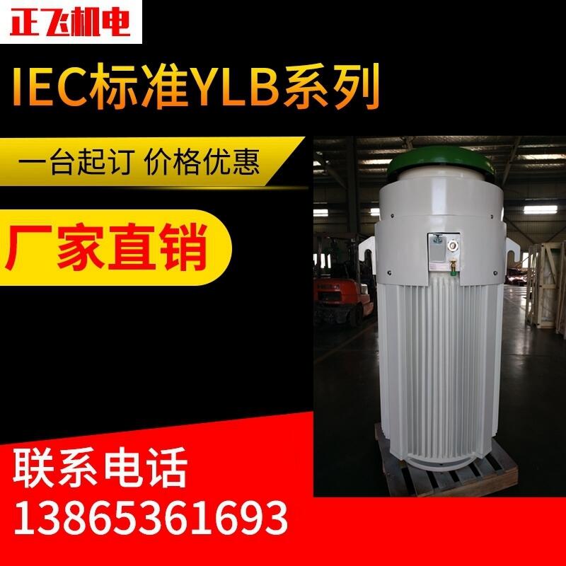 YLB늙C(j)ylb315-1-4 220KW L(zhng)S늙C(j) SֱN