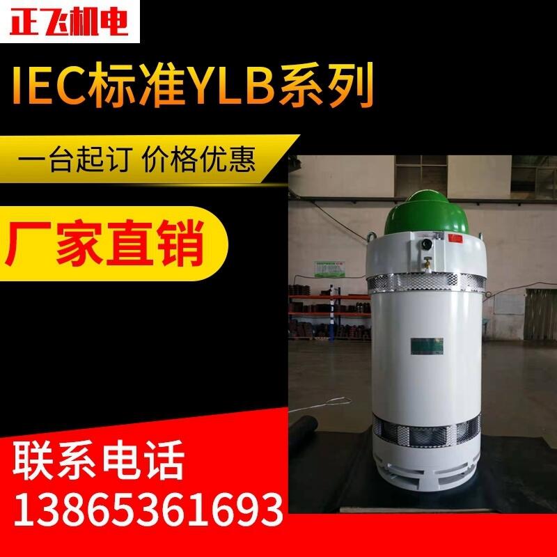 YLB늙C(j)ylb355-2-4 315KW L(zhng)S늙C(j) SֱN