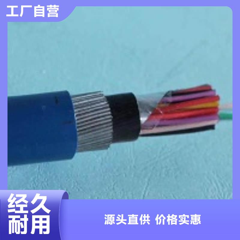 Vÿ|8*2.5WD-MKYJYRP-450/750V-