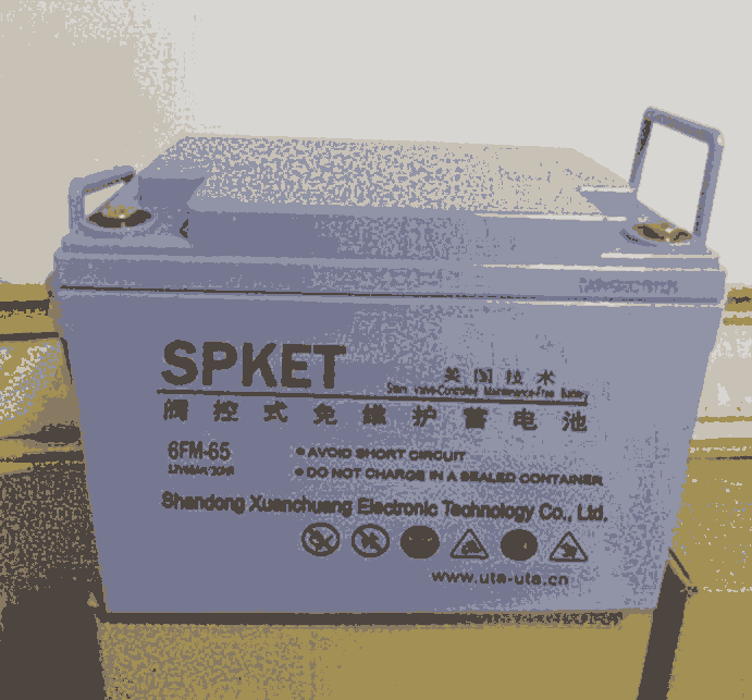 ˹늳6FM-65/12V65AH(sh)r