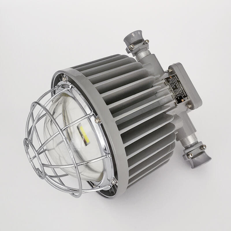 DGS50/127L50WAled