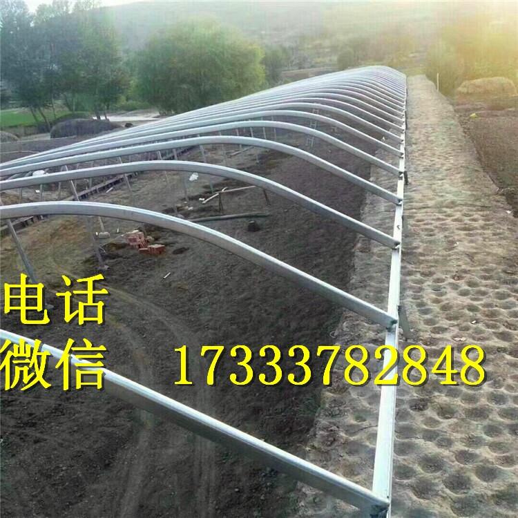 ¿LAC 䓹܈A܈AAC (sh)؏ܙCԭ