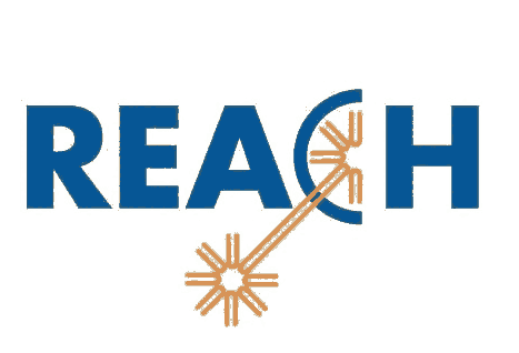 REACHyԇ(xing)ĿЩzyʲô