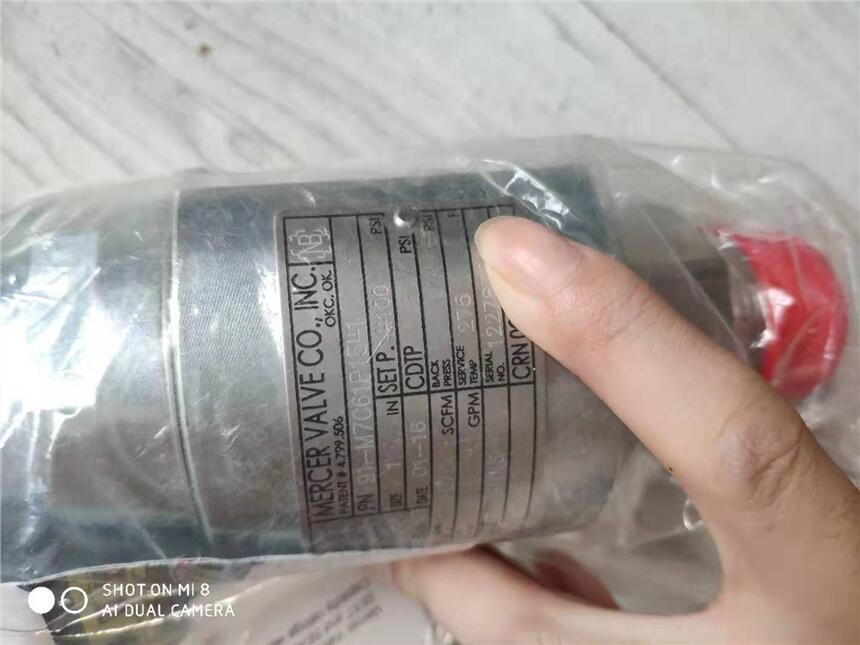 Go-Switch 35-13319M-1M _P(gun)