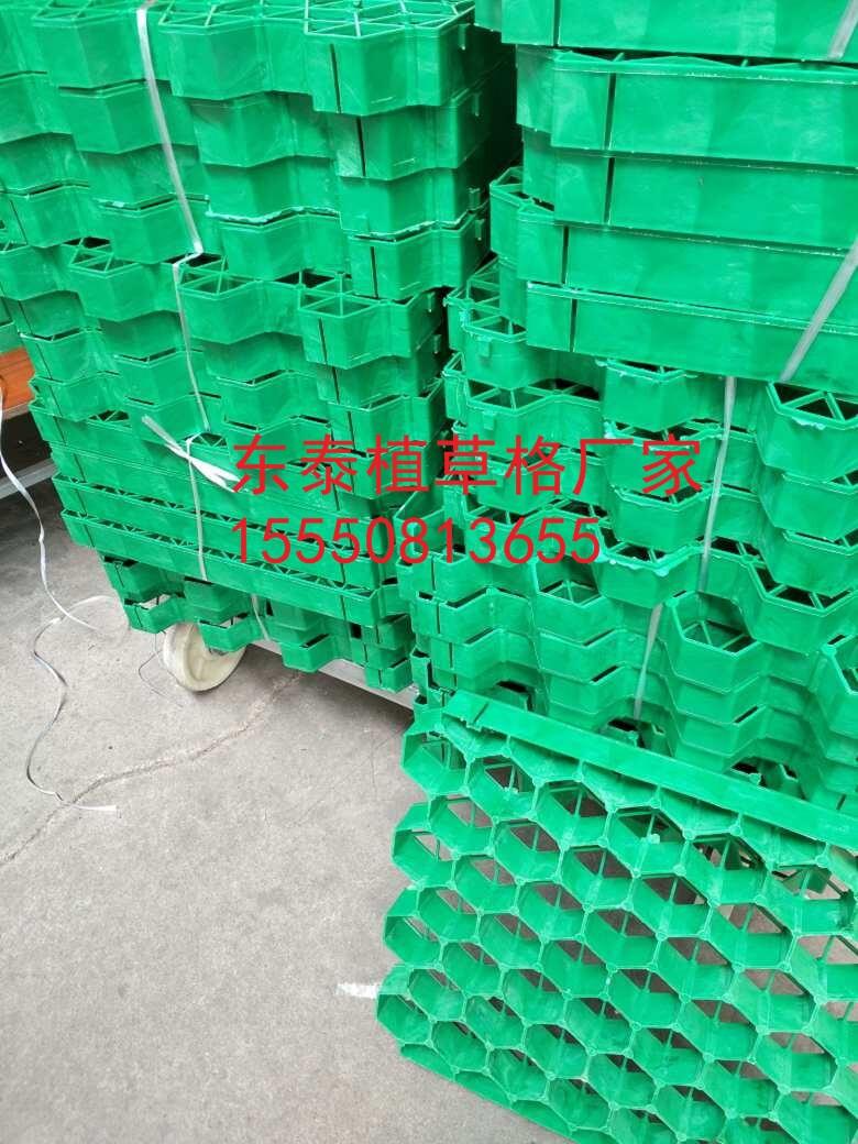 vR6.8ֲݸ|̩(yu)|(zh)(yng)̣ˮ