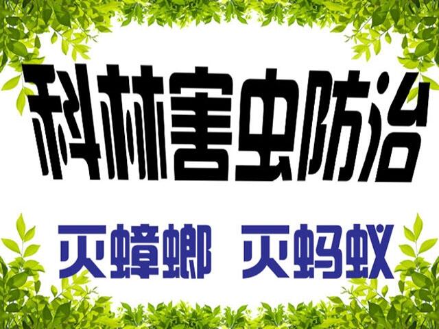 ꖜꖜ빫˾ꖲʺ
