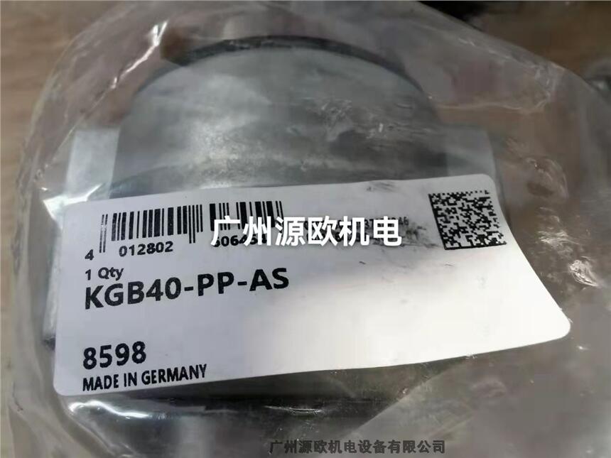 KGBO20-PP-AS VԴWC(j) Nԭb(gu)INAֱr