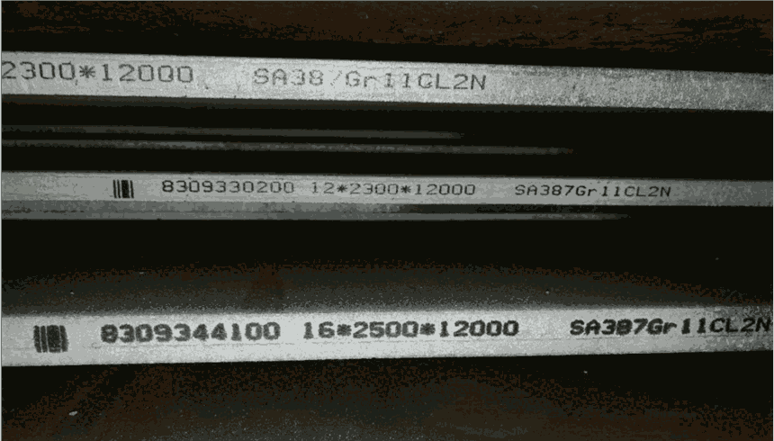 (bio)SA387Gr11CL2