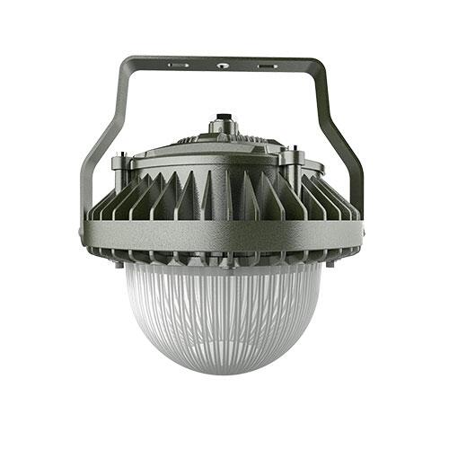 100W LEDX