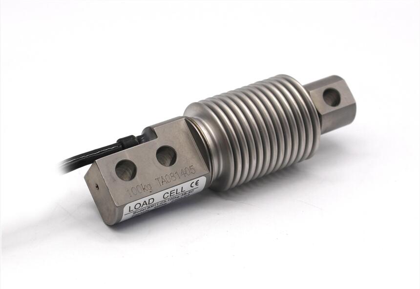 кZEMIC BM11-C3-5kg-6B6y܂