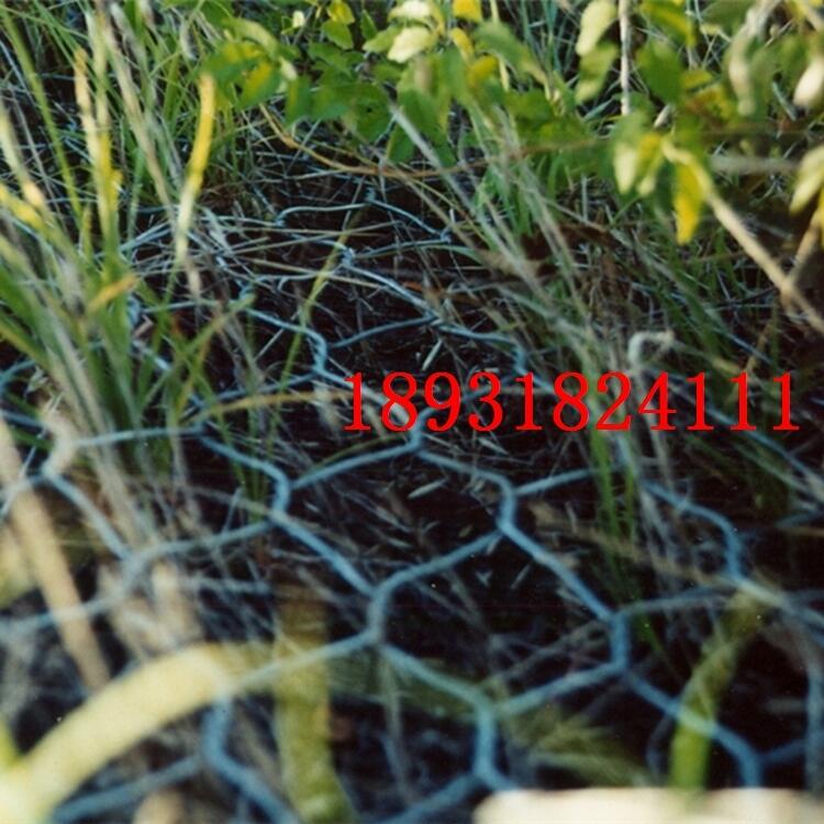 oZo| ˮUz\W(wng)| eW(wng)\ʯ\W(wng)S