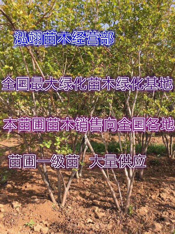 ޱɫrGl(f)(yng)ޱr(ji)(yu)