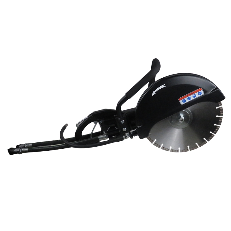 LҺAP  CS10
