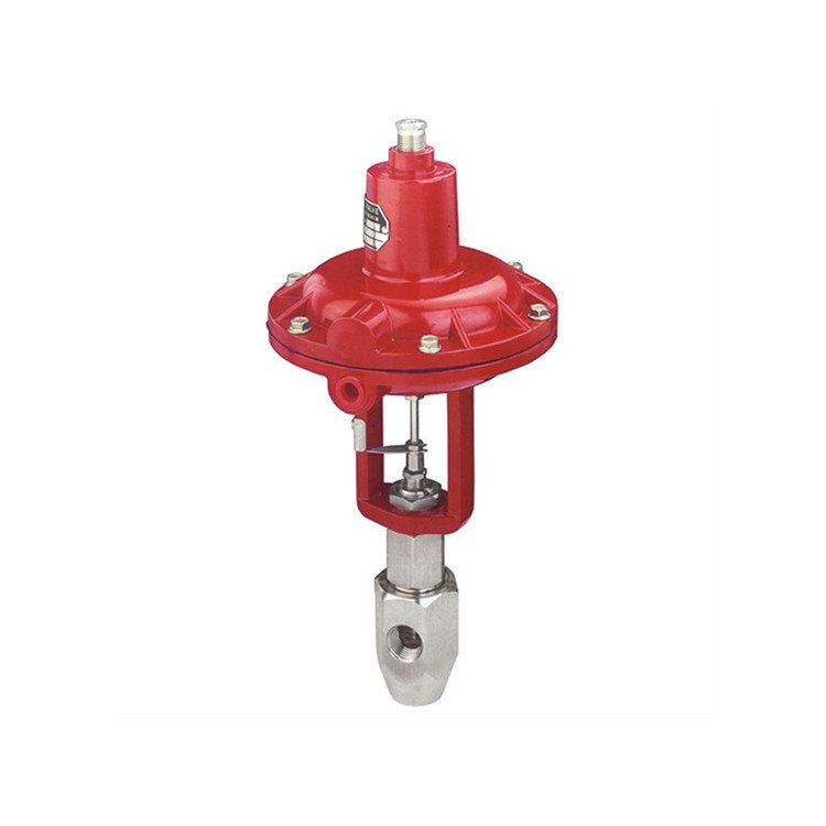 uBADGER METER{(dio)(ji)y̖(ho)1002-GC-N-36-MV-0S-IEP-36
