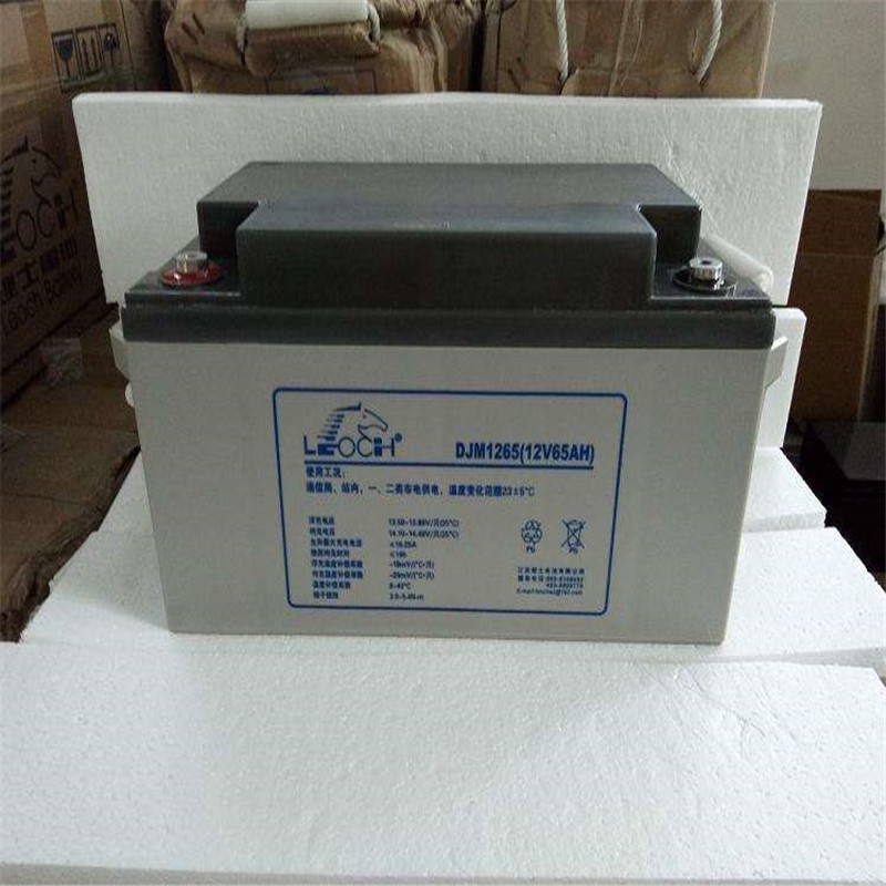 ʿDJM1265ʿ늳12V65AHC(j)UPSֱEPSUPSԴ늳ذ]